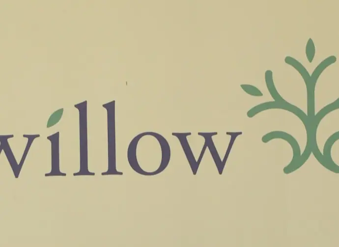 willow-domestic-violence120225