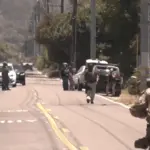 vlcsnap-2025-12-04-16h37m47s537146969