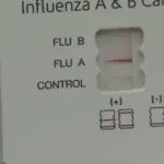 vlcsnap-2025-12-27-17h10m36s252607895