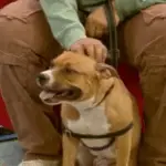 java-e1769781026558442976