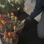 vlcsnap-2026-02-10-17h57m15s862393157