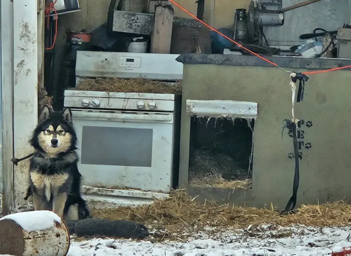 original-1351ac24-d786-4feb-b672-25349e49ffdd369237