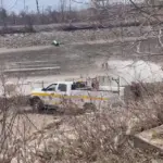 vlcsnap-2026-03-10-14h38m49s971661740