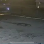 vlcsnap-2026-03-20-16h54m02s65197347