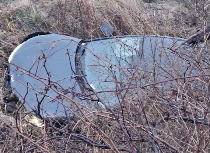 662553405_1257437796565168_4102035703406086849_n232223