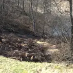 vlcsnap-2026-04-07-18h30m12s338898211