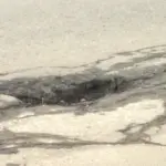 screenshot-2026-04-07-183858726943