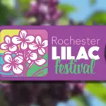 lilac-festival881699