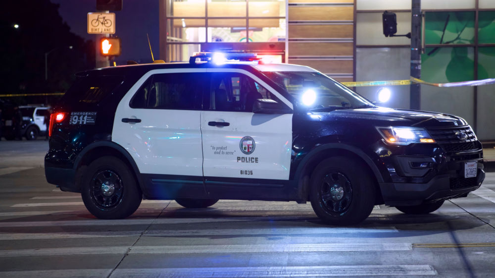 shutterstock_1962181327474377