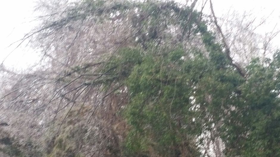 2021-ice-storm-jpeg