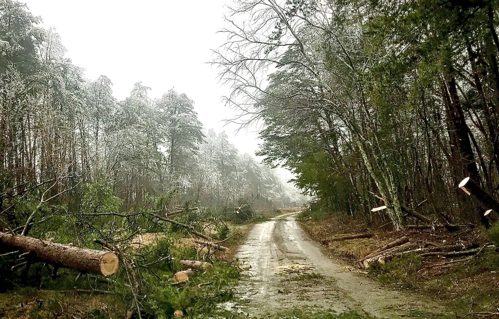 ice-storm-2021-jpg