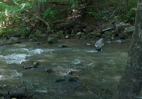 cherrystone-creek-jpg