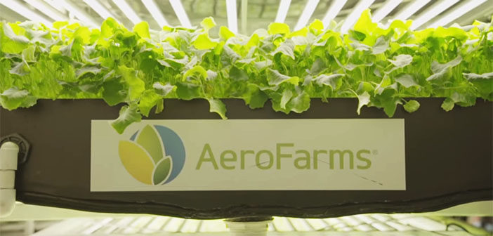 AeroFarms bringing $53 million investment and nearly 100 jobs to ...