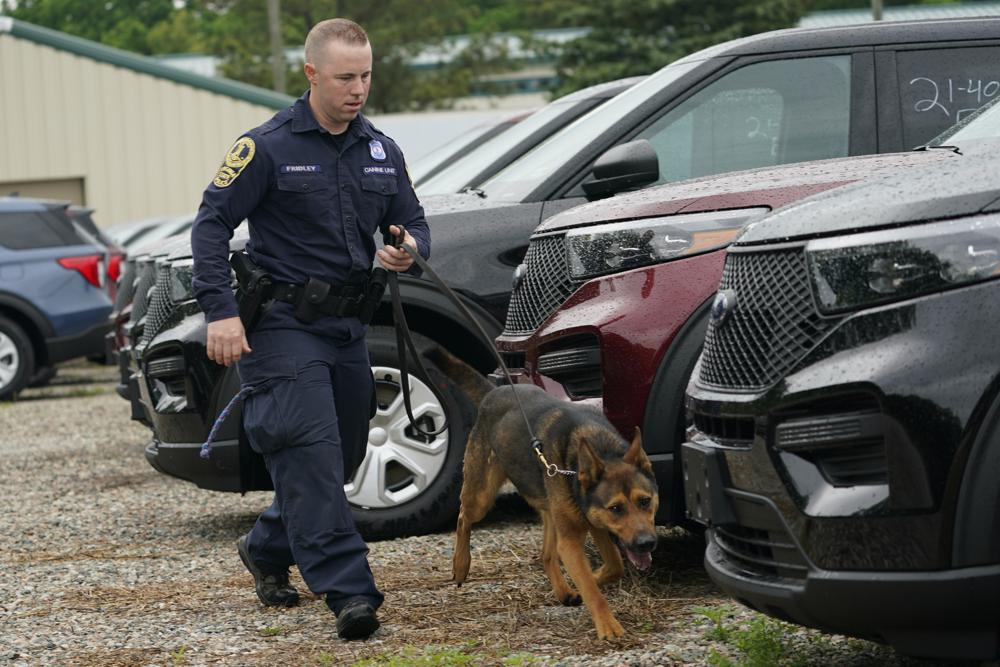 k9-jpeg
