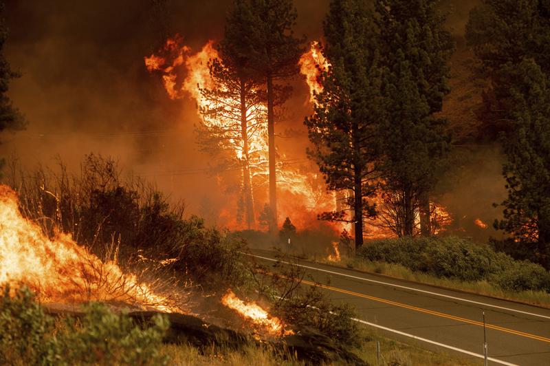 wildfire-jpeg