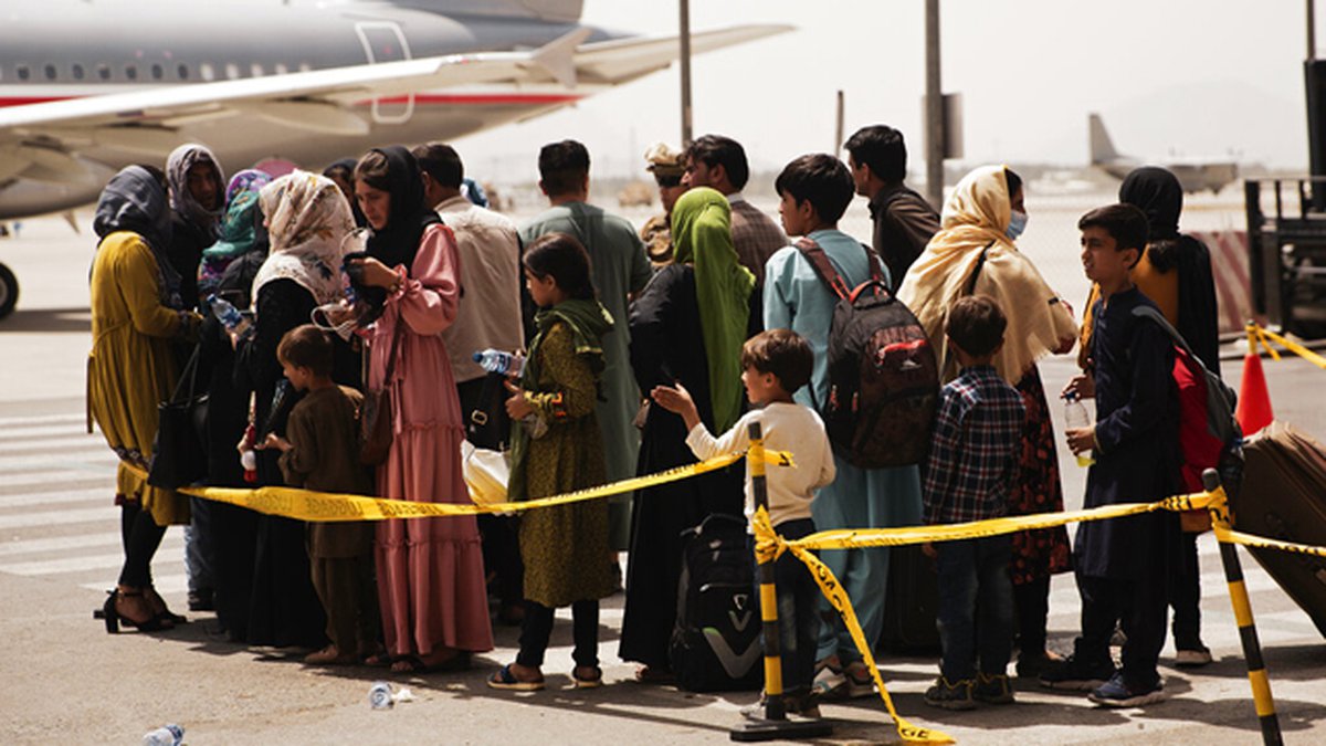 afghans-2-jpg