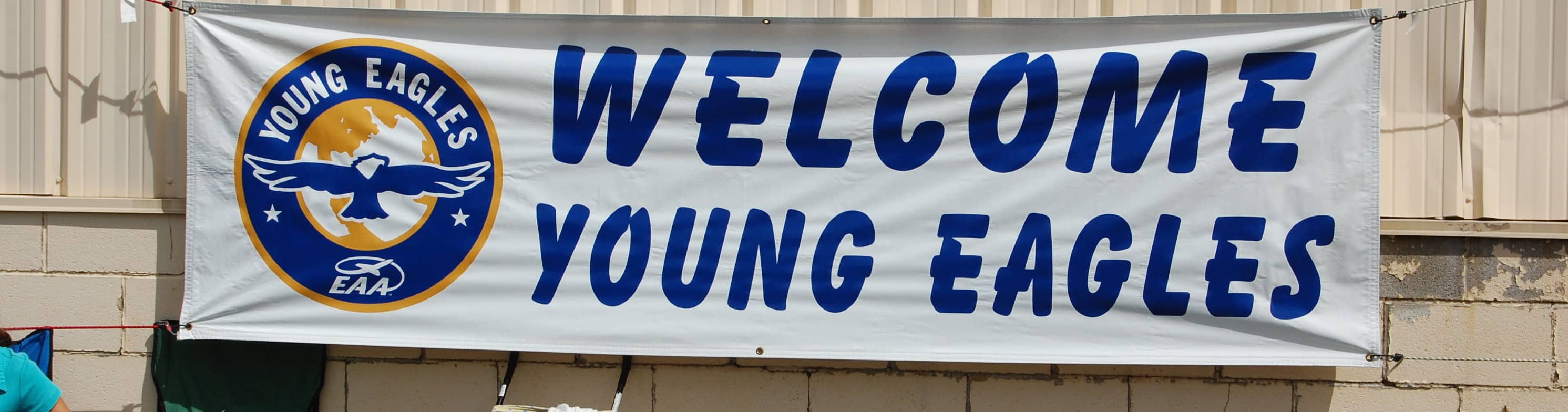 young-eagles-jpg