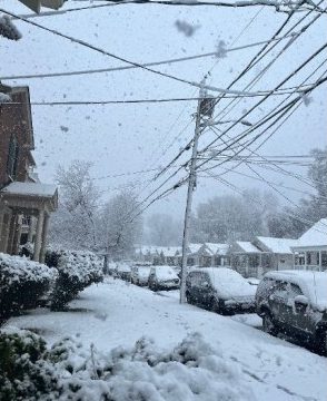 snow-2020-2-jpg