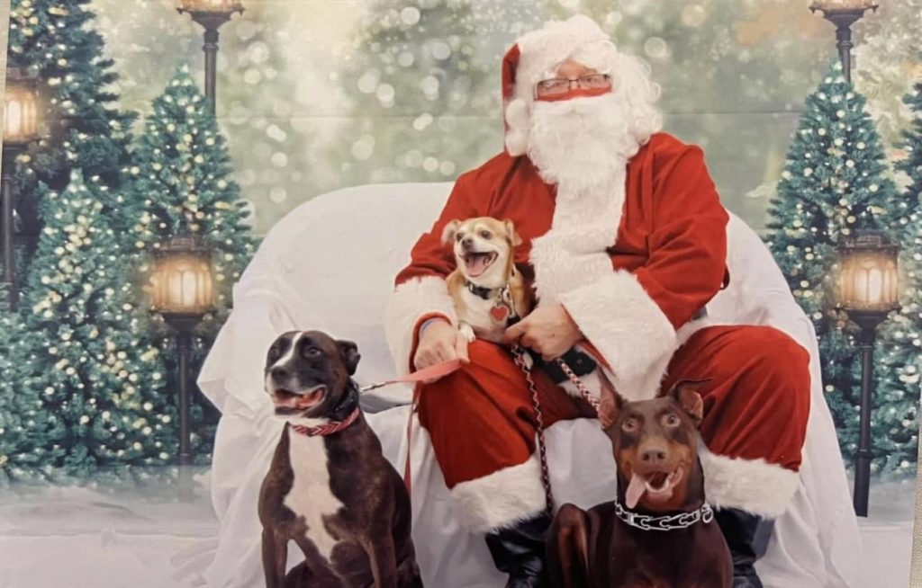 Danville Area Humane Society Hosting Santa Pet Photo Event - Vimarsana News