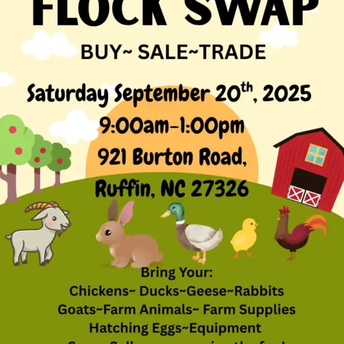 flock-swap-jpg