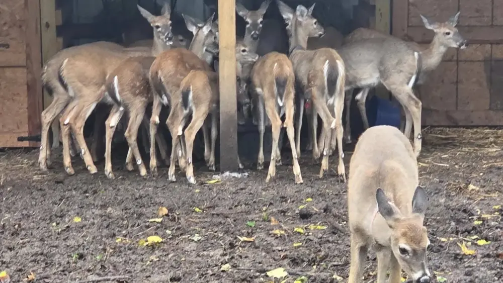 557637301_688715940924496_7363723253296374695_n-jpg