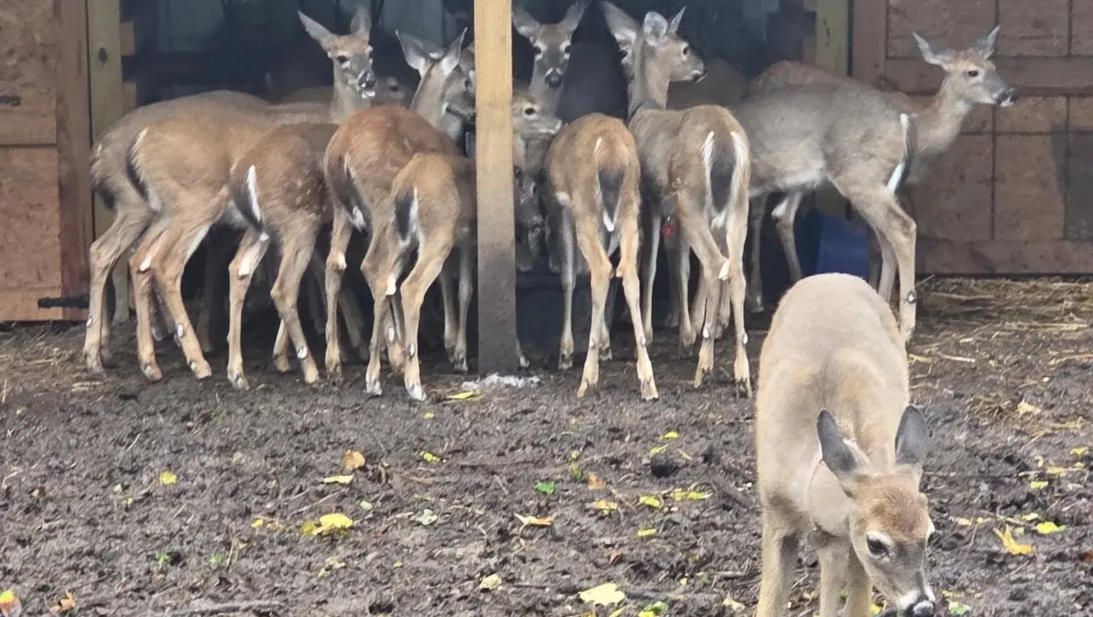 557637301_688715940924496_7363723253296374695_n-jpg