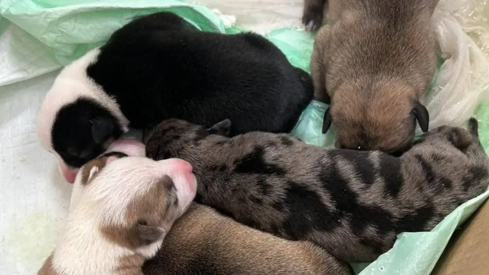 642877375_924503060440127_8821711646456534862_n-jpg