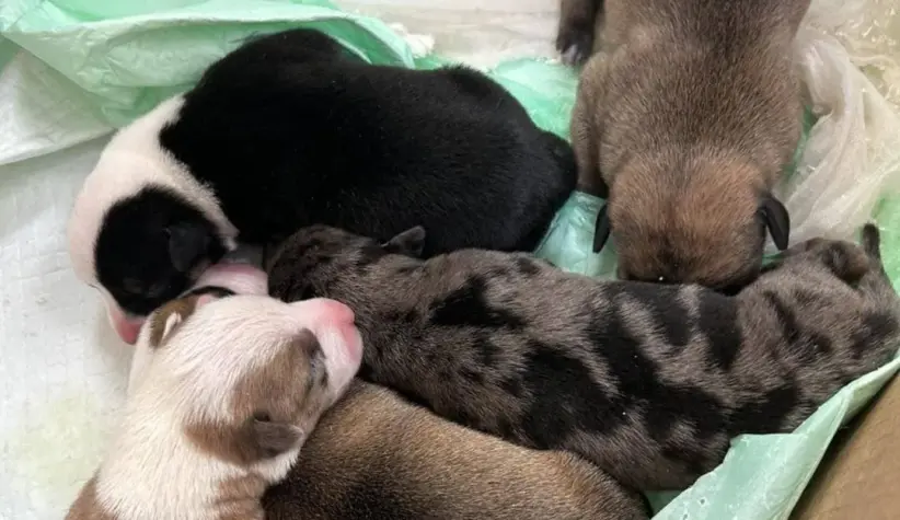 642877375_924503060440127_8821711646456534862_n-jpg