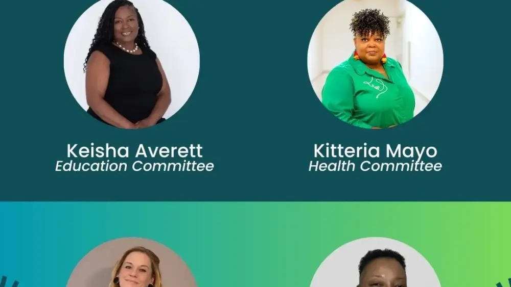 n-main-visionaries-committee-chairs-graphic-jpg