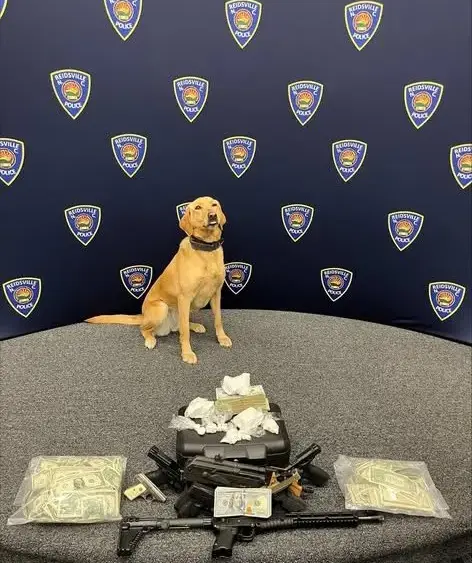 659815103_1362469982575274_7738112764466068158_n-jpg