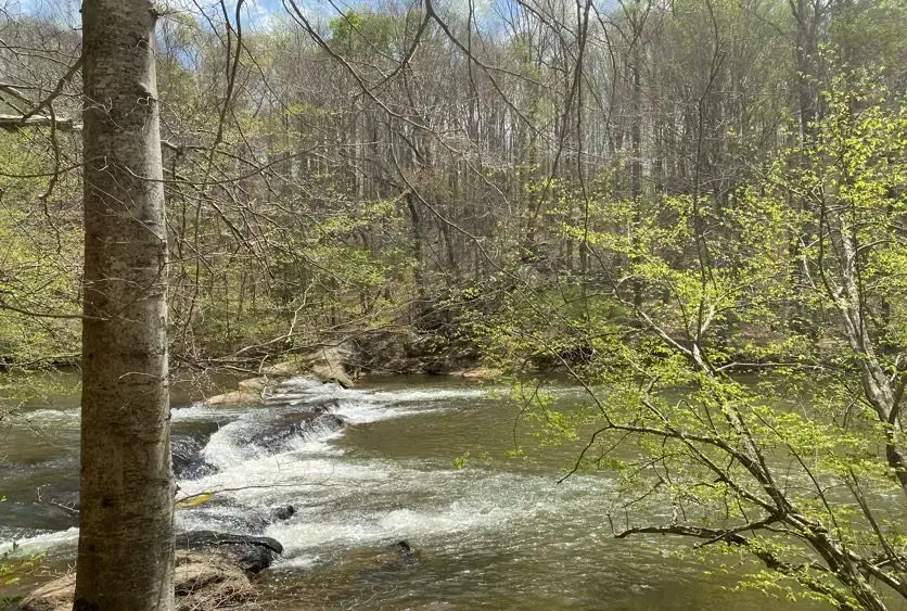 future-mayo-river-state-park-11-jpg