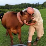 Gary Riddle: Gary Riddle
Submitted by: Kelly Riddle

"Gary is the hardest working man I know. Not because he says it, and not because he seeks recognition—but because he lives it, every single day. Hard work isn’t a choice for him; it’s simply who he is. He has spent his life learning every trade he could—carpentry, construction, plumbing, electrical, renovations, and farming. From building foundations to finishing roofs, from raising animals to fixing what others can’t, he shows up and gets it done without hesitation.
He works seven days a week and measures his days not by money made, but by effort given. His words are always the same: “I’m going to sleep good tonight because I worked hard today.” And he means it.
What stands out most is that he cannot walk away when someone needs help. When others overcharge or take advantage, Gary steps in. Not for credit, but because he can’t stand to see someone struggle or be treated unfairly. He gives more than he should, more than most would, because that’s just how he’s built.
If there’s a softer side to him, that’s on me—his wife. I’m the one who sees it, who knows how much he carries and how deeply he cares, even when he doesn’t say it. He won’t ever tell his own story this way, but I will. This photo is my favorite! Our pet steer and my husband. After a long day, mentally and physically draining... he still made his rounds feeding the animals and sharing this sweet moment.
We recently were blessed with our 1st home purchase! Gary worked 12 hrs a day 7 days a week to make sure we made it to the closing table. I have never seen such dedication in my life. Men like Gary don’t come around often, and I’m proud to stand beside him, he is very deserving of this gift card, because I know he will be using it to keep helping our community and working hard. "