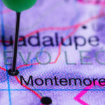 shutterstock_460385398266644