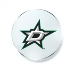 Dallas Stars National Hockey League ( NHL ) vector logo