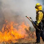 Santa Cruz^ California - September 22^ 2022: A firefighter uses a "drip torch" to ignite dry grass at Marshall Field as CAL FIRE firefighters conduct a beneficial control burn.