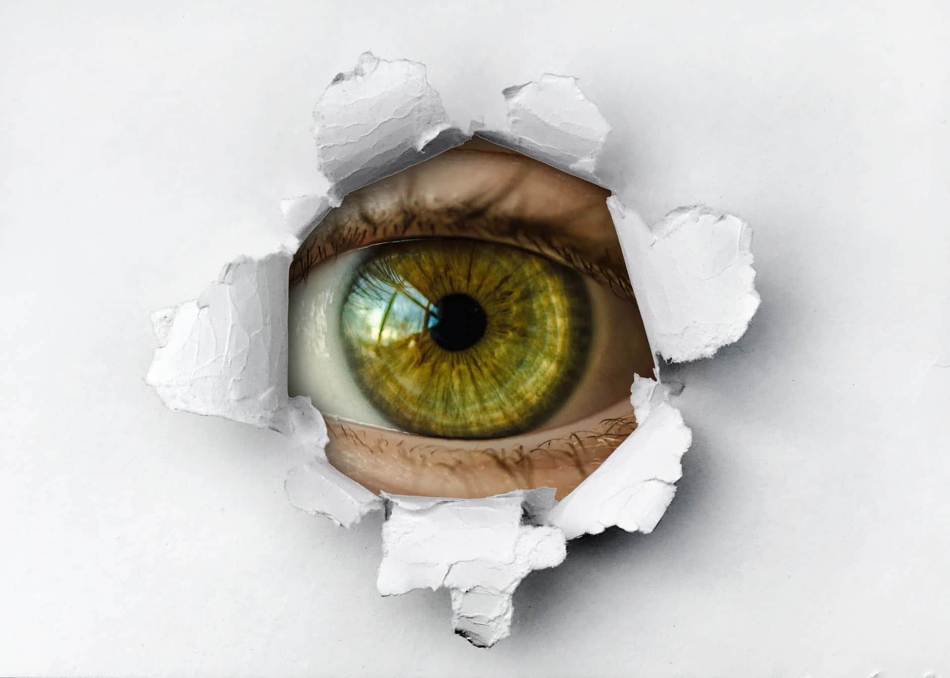spying-4270361_1920
