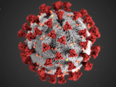 coronavirus-png-5