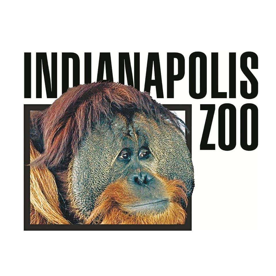Indianapolis Zoo To Reopen Soon With Some Restrictions The Rock 92.7