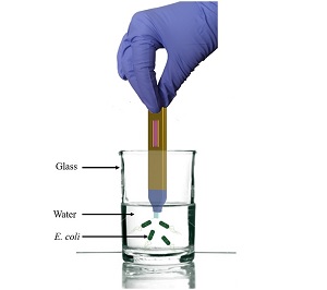 water-test-graphic-jpg