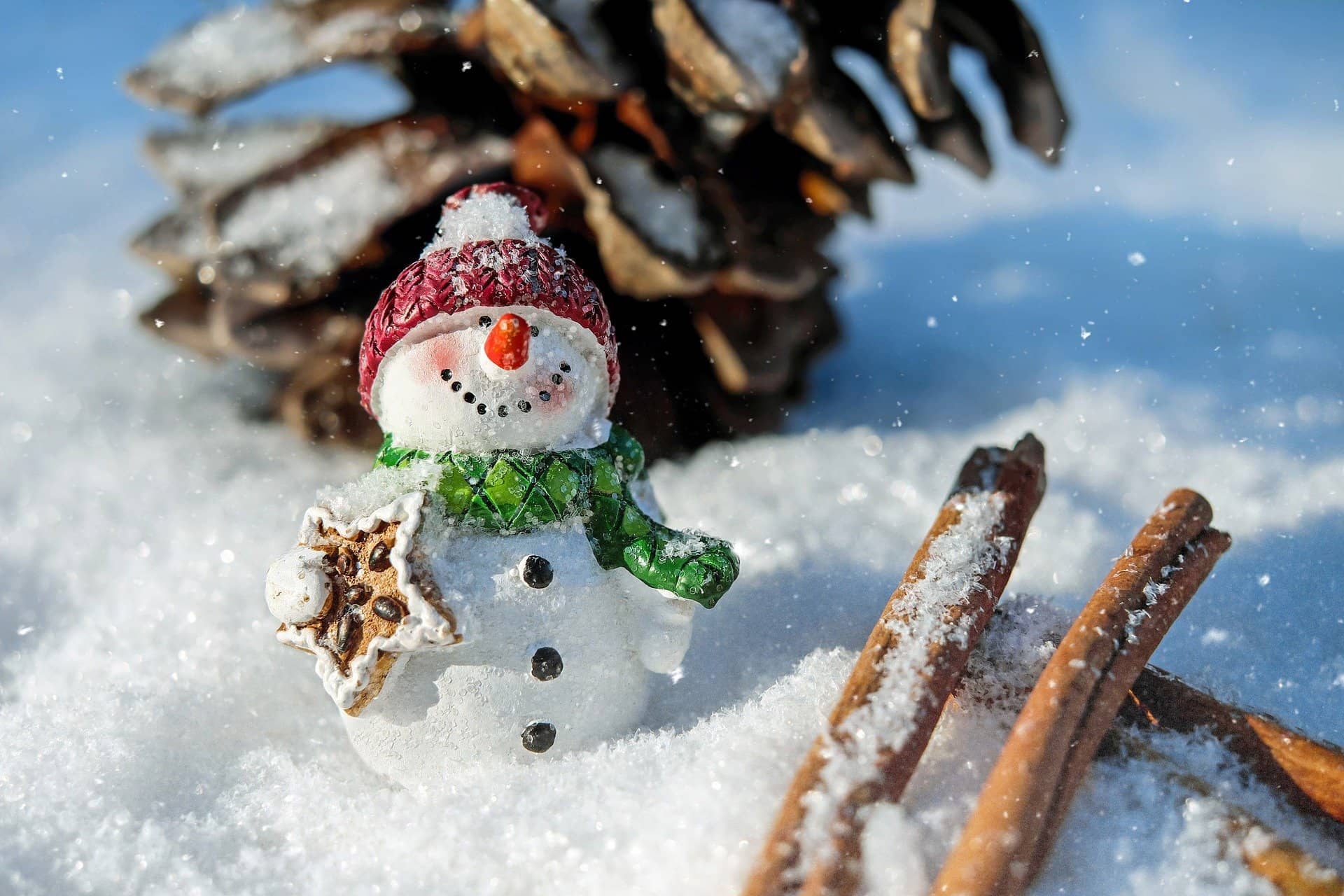 snowman-1882635_1920-winter-cold-snow-image-by-couleur-from-pixabay-jpg-3