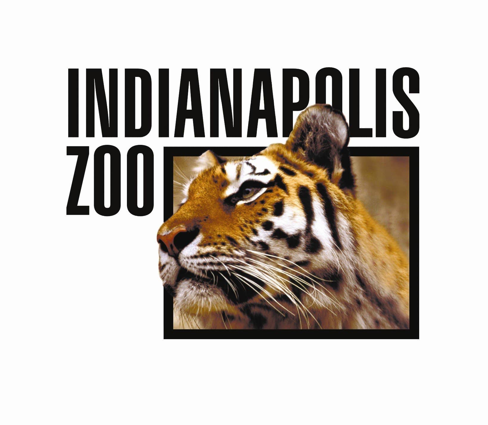 indianapolis-zoo-jpg-6