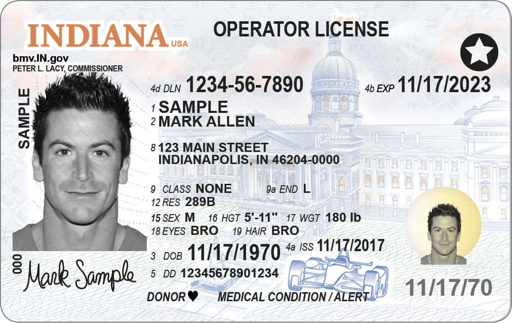 01-adult-drivers-license-jpg-4