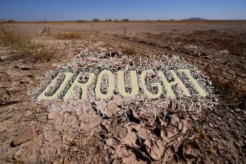 drought-jpg