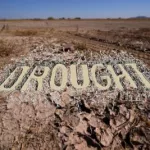 drought-jpg-2