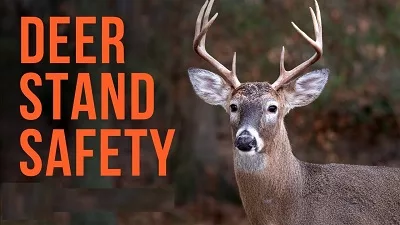 deer-stand-saety-jpg