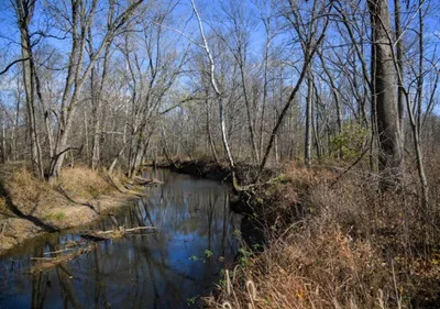 busserton-creek-jpg