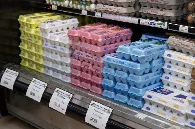 eggs-jpg
