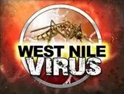 wpid-west-nile-virus-jpg-6
