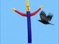 scarecrow-jpg-2