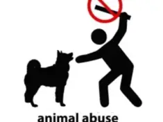 animal-abuse-jpg